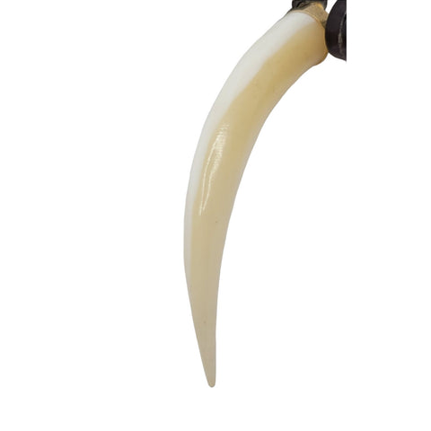 Navajo Heishi Bead Bear Claw Necklace Petrified Wood Bone And Shell